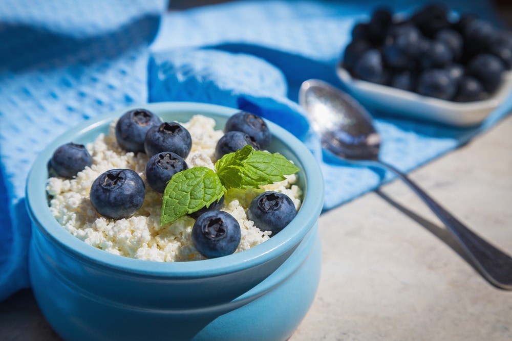 Is Cottage Cheese Healthy For You? Health and Wellness