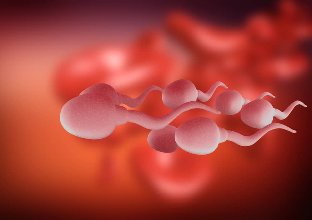 new-study-shows-lower-sperm-count-globally-health-and-wellness