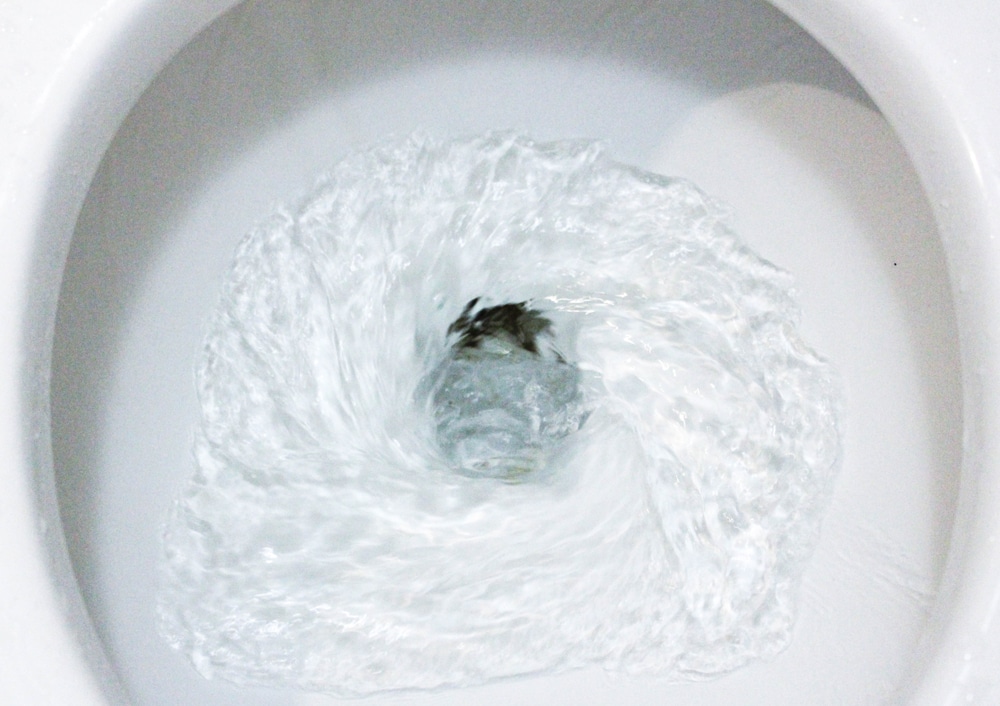 Are You Spreading Germs Into The Air When Flushing The Toilet? Health