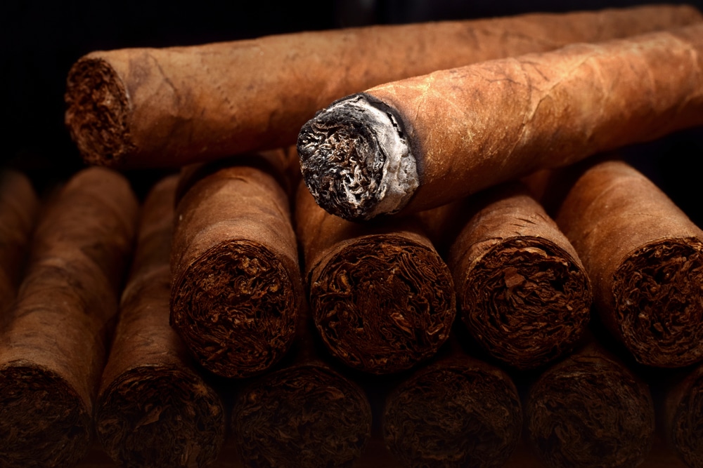 Cigars vs. Cigarettes: Are They Both Addictive? | Health and Wellness