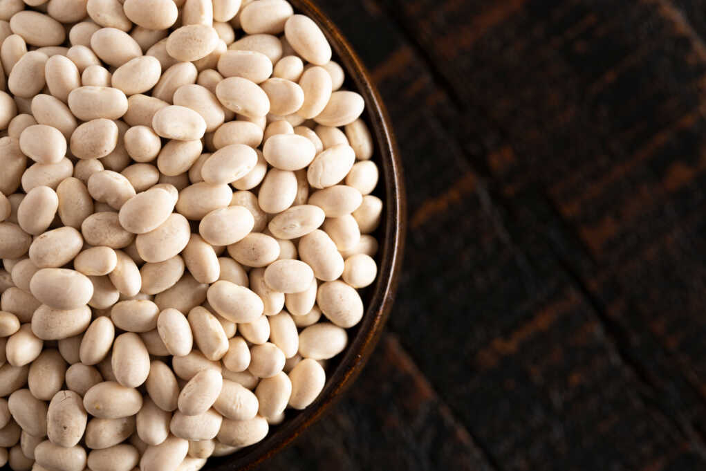 Potential Role Of Navy Beans In Preventing Colorectal Cancer 