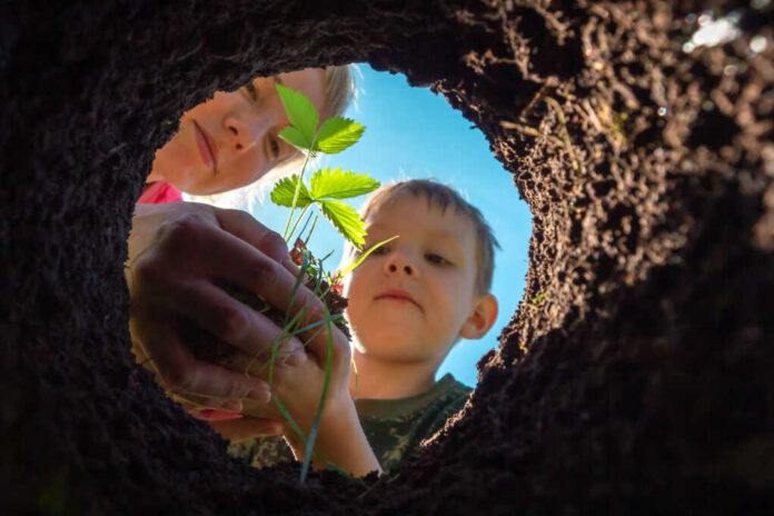 Son,And,Mother,Planting,Plant,Together,In,Pit,In,Garden.