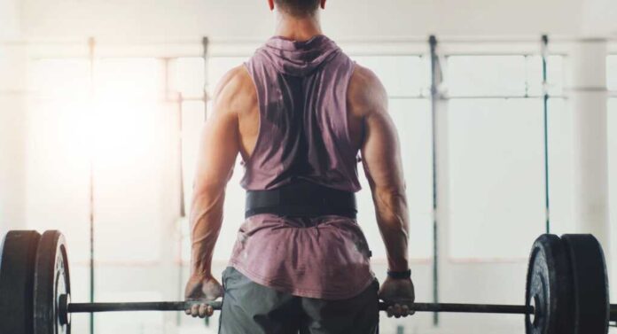 Gym,,Weightlifting,And,Back,Of,Man,For,Exercise,,Deadlift,And