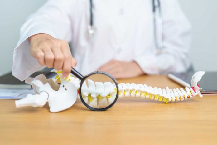 Doctor,With,Human,Spine,Anatomy,Model.,Spinal,Cord,Disorder,And
