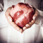 Heart Transplant: From Experiment to Standard