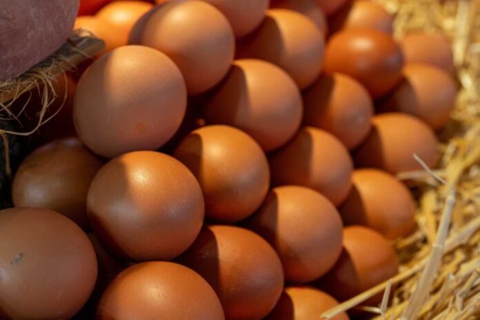 Fresh,Organic,Eggs,In,A,Wicker,Nest,,Healthy,Breakfast,Ingredient