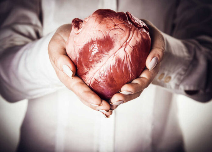 Heart,In,Hands,,Abstract,Creative,Background