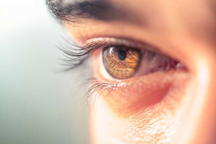 Brown,Man,Eye,Macro,Shot.,Macro,Shot,Of,A,Man's