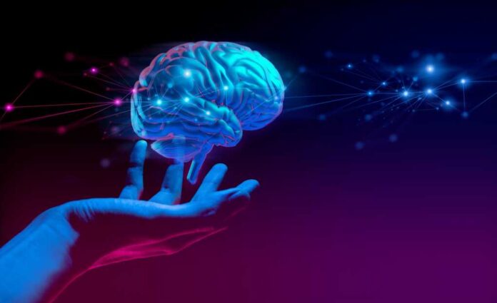 Doctor,Hand,Holding,A,Holographic,Of,Human,Brain,In,Healthcare