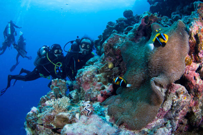 Great,Barrier,Reef,,Qld,/,Australia,-,04/29/19:,Diving,With