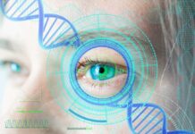 Chip Restores Sight: A Breakthrough