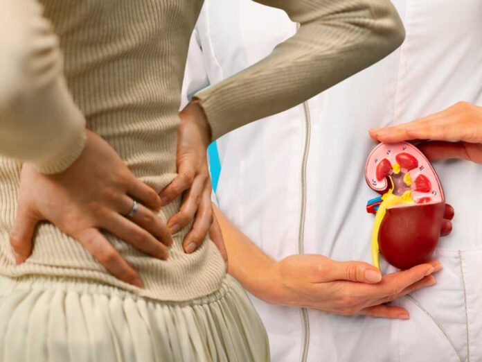 shutterstock_2497963331