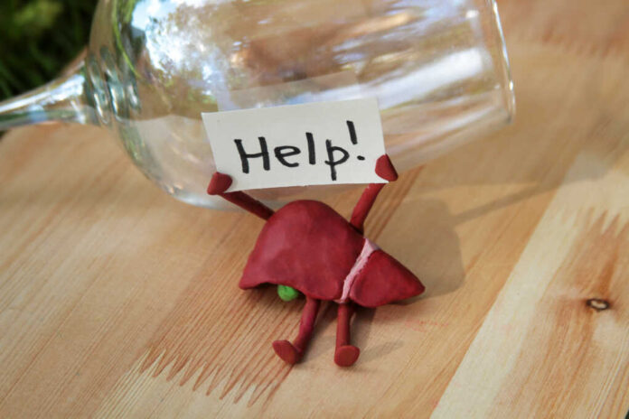 Human,Liver,Made,Of,Plasticine,Sits,On,Wooden,Table,And