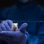 70% Longer Life: The Sex Twist