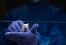 70% Longer Life: The Sex Twist