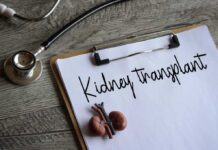 Rabies-Infected Kidney Kills Man: Safety Breached