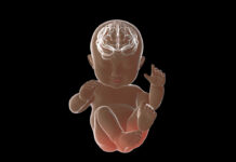 Your Brain’s 5 Biggest Turning Points