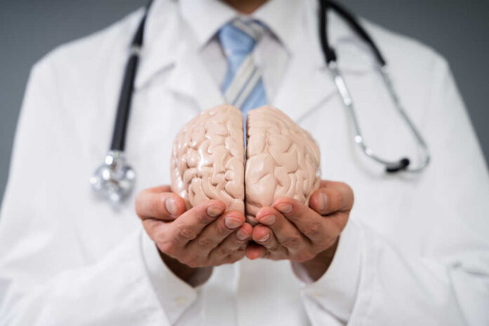 Close-up,Of,A,Doctor's,Hand,Holding,Human,Brain,Model