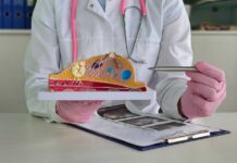 AI Breakthrough Reshapes Breast Cancer Risk