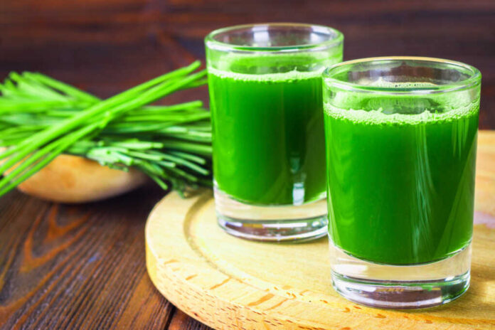 Wheatgrass,Shot.,Juice,From,Wheat,Grass.,Trend,Of,Health.,Wheat