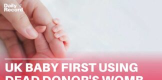 First UK baby born after womb transplant from deceased donor