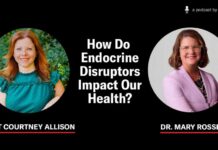 How Do Endocrine Disruptors Impact Our Health