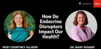 How Do Endocrine Disruptors Impact Our Health