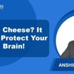 Study links high-fat cheese and cream consumption to