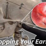 What Happens When We Pop Our Ears