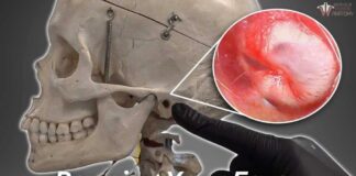 What Happens When We Pop Our Ears