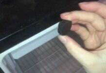 keeping a refrigerator “MOLD FREE” during storage