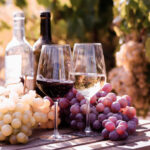 Wine’s Hidden Dangers: Shocking WHO Warning Two glasses of wine beside fresh grapes in a vineyard