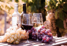 Two glasses of wine beside fresh grapes in a vineyard