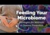 Feeding Your Microbiome: Dietary Strategies for Wellness and