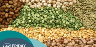 Friday Favorites: Benefits of Beans for Peripheral Vascular