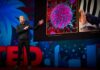Sleep Is Your Superpower | Matt Walker | TED