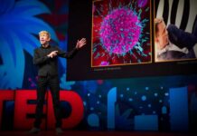 Sleep Is Your Superpower | Matt Walker | TED