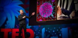 Sleep Is Your Superpower | Matt Walker | TED