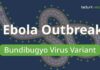 Threat Assessment Brief: New Ebola Variant Bundibugyo Ebola Outbreak 2026: Clinical Essentials for USMLE