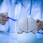 Unseen Migraine Triggers: New Findings! A doctor pointing at a brain model with a pen