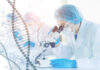 A Rising Star In Cancer Treatment Scientist examining samples under a microscope in a laboratory