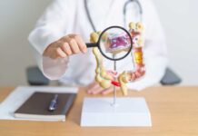 Plastic-Binding Bacteria: A Game-Changer? Doctor examining an anatomical model of the digestive system with a magnifying glass