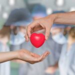 Toddler’s 351-Day Wait for a Heart Transplant Two hands exchanging a red heart symbol in a surgical setting
