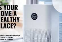 The Truth About Indoor Air Pollution | How Interior Design Affects Your Health