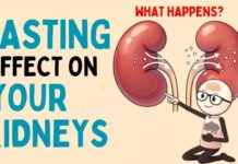 Kidney Health: Risks and Benefits of Intermittent Fasting What Happens to Your Kidneys When You Do Intermittent Fasting? | Health Science Explained