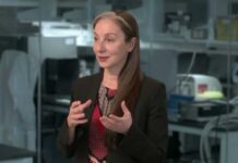 Inside new efforts at Mayo Clinic to decode and repair the brain using data
