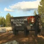 12-year-old injured by bison at Yellowstone National Park