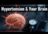 Silent Cuff Number Steals Years From Your Brain Hypertension Damages the Brain Earlier Than We Thought: New Findings Explained
