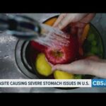 Health officials investigate parasite outbreak linked to contaminated food and water