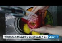 Health officials investigate parasite outbreak linked to contaminated food and water